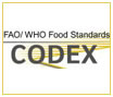CODEX logo