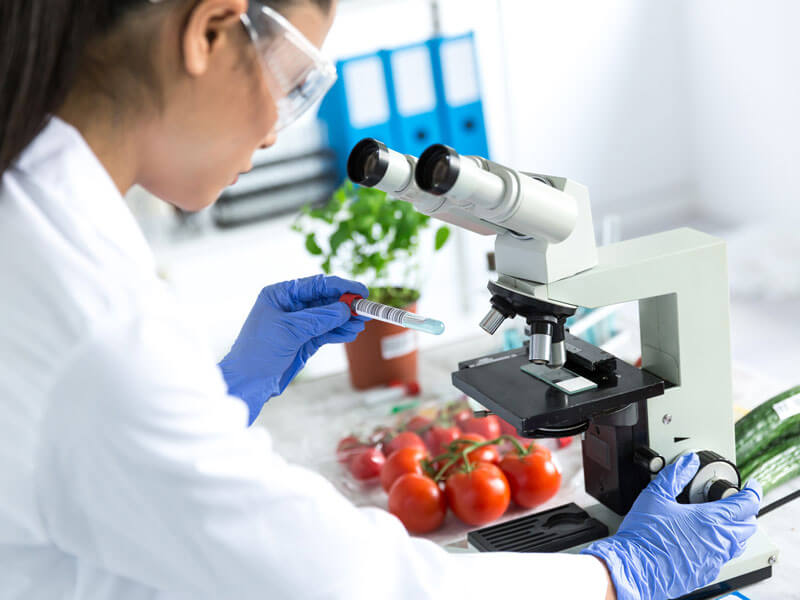 Female lab tech using microscope in laboratory to examine vegetables